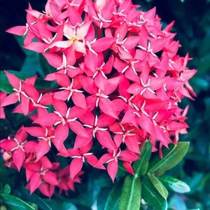 Meet your Posher, Gize